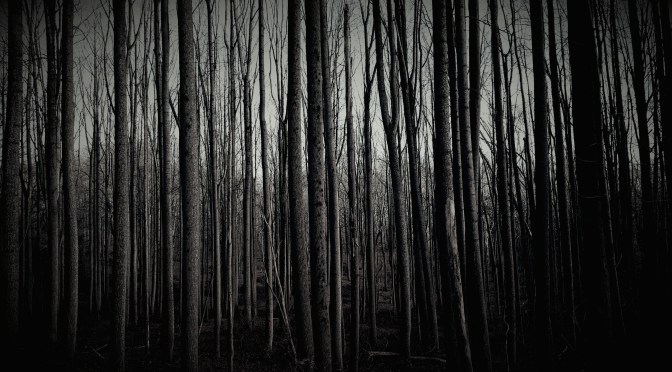 Where is the Silence?