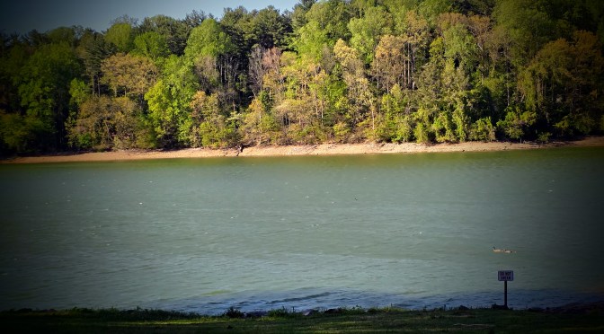 Maryland Lakes