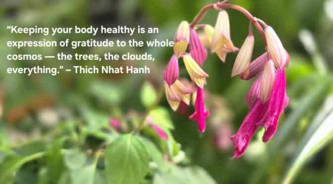 Health and Wellness v. Medicine