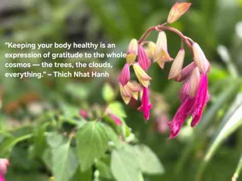 Health and Wellness v. Medicine