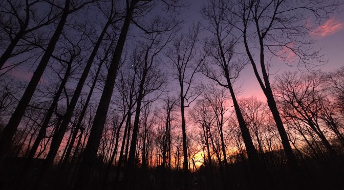 New Year, New Earth