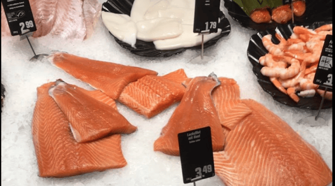 Do Fish Deserve Care?