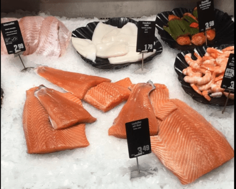 Do Fish Deserve Care?