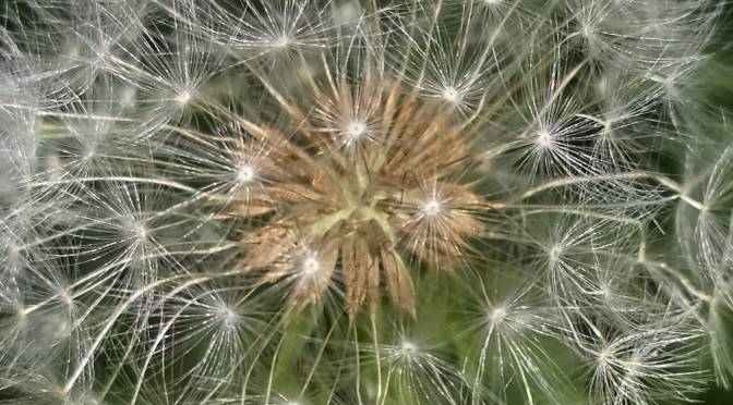 A Power [Plant] Party