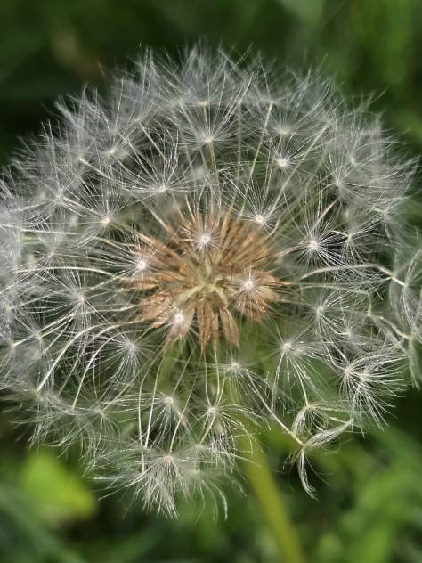 A Power [Plant] Party